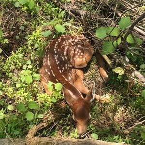 Meet your Posher, Paul